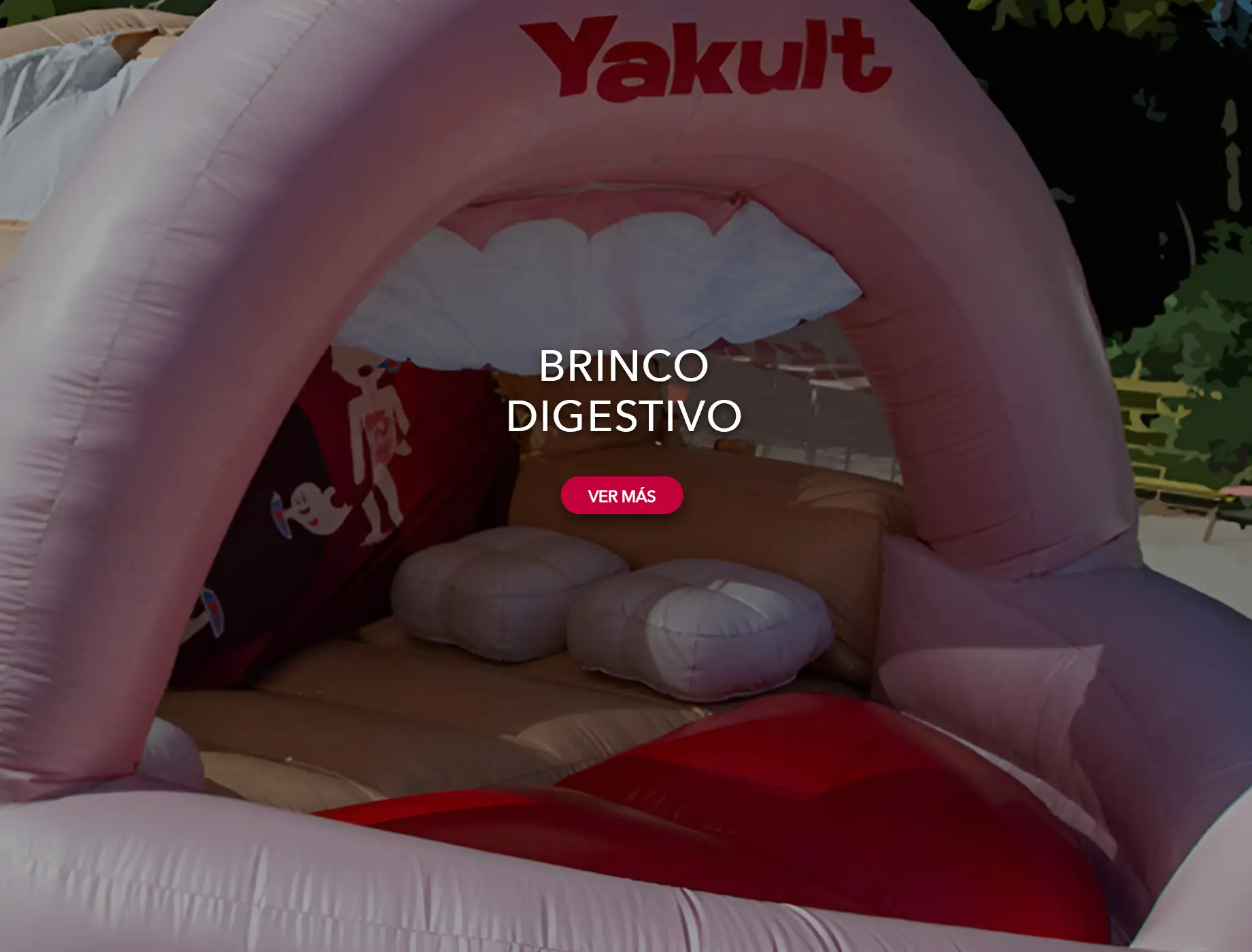 brinco digestivo